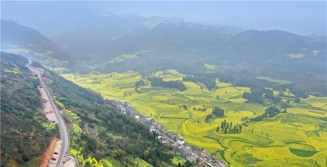 贵阳|罗平油菜花堪称东方大花园：满目金黄香百里，一方春色醉千山