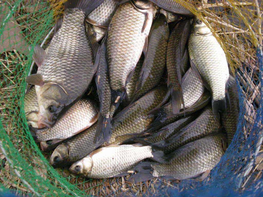 花莲|夜钓总空军？只需掌握这5个“要点”，让你轻松爆护不再难