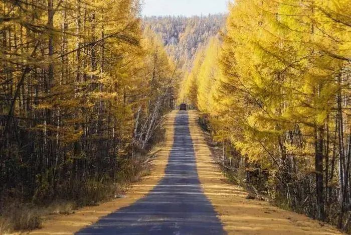 草原|【畅游陇原】这里有条古老的河——后川河