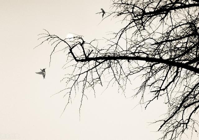 撒贝宁|撒贝宁:把父母接到北京,是我最后悔的一件事