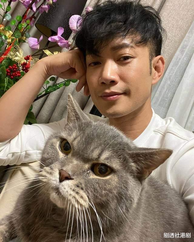 敖嘉年|TVB知名男星宣布离婚！疑与同剧女星迎来新恋情，和前妻坚持丁克