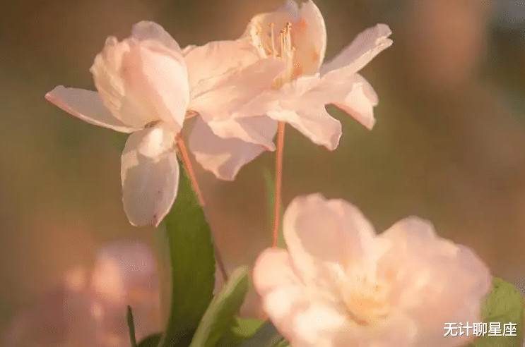 天蝎座|后半生，4个星座，清醒做事，糊涂做人，每一天都幸福快乐