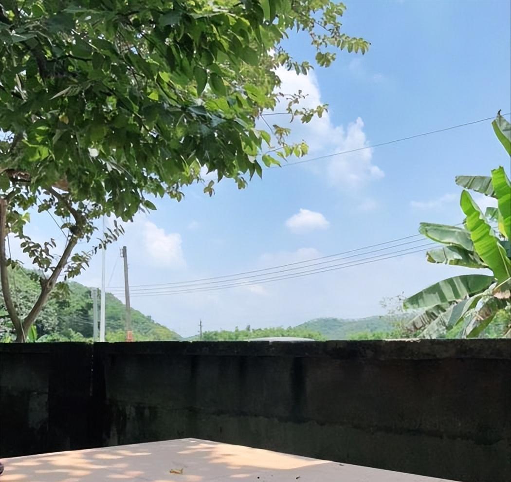 广东小伙驱车1h带女友吃饭,只点一道菜被网友吐槽,结果惨遭打脸