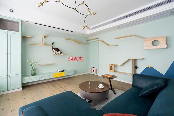 有不少去电视化的方案，但这4款才是最实用的，值得参考！