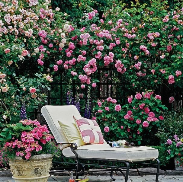 |想要打造高级的“庭院花园”,5种花草6种小物件,都要安排上