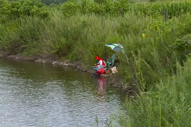 春分|春分后野钓鲫，只需掌握5大“黄金密码”，让你轻松爆护满载而归