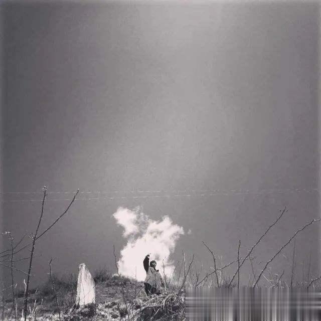 董子健|董子健，怎么这么会演啊？