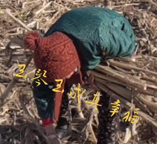 李玉成|85岁马玉琴捡柴火,李玉成却配上“真幸福”字幕,网友:强装幸福