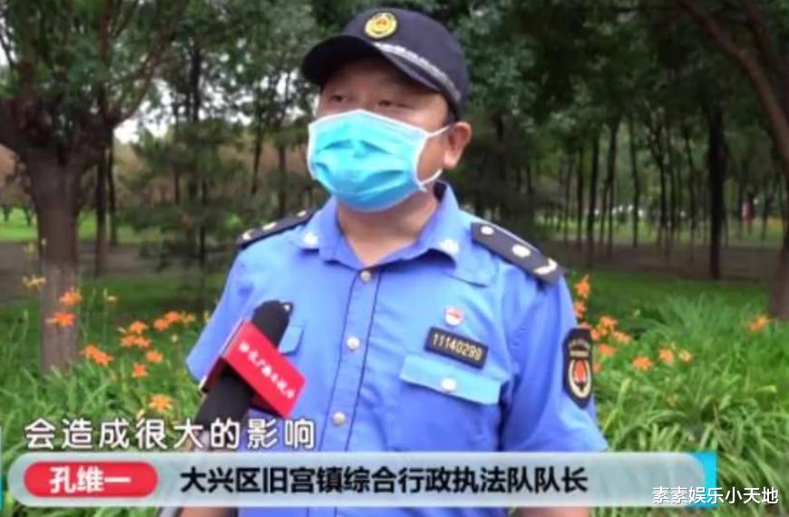 谢霆锋|周冬雨在公园摘桑葚引发热议,网友在留言区多次提到刘昊然