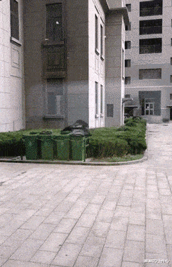 张子枫|张子枫事件持续发酵，小三言论不胫而走，已有人喊其退出《向往6》