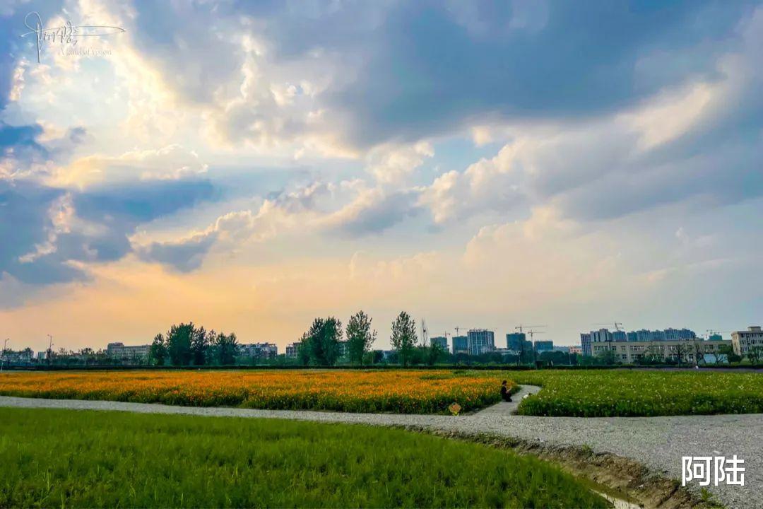 贵州|杭州城北有片占地65亩的精致花海，环境优越游客稀少，你心动吗