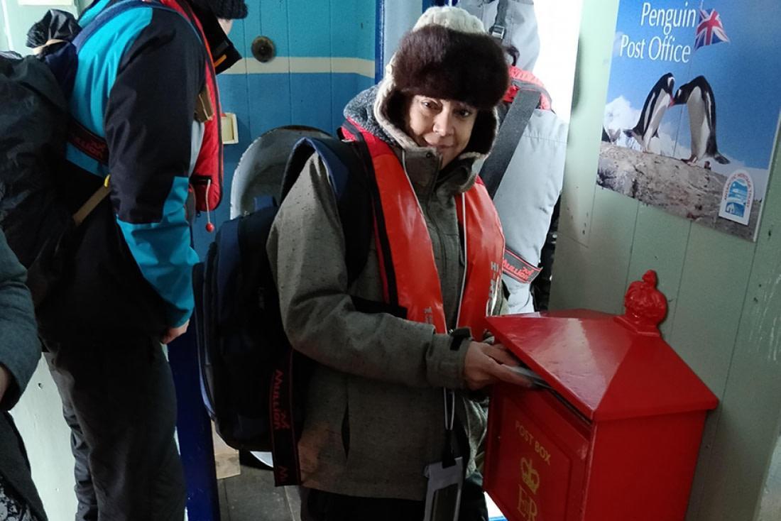 招聘|南极洲招人“数企鹅”，没wifi还得给企鹅铲屎，却有6000人抢着去！