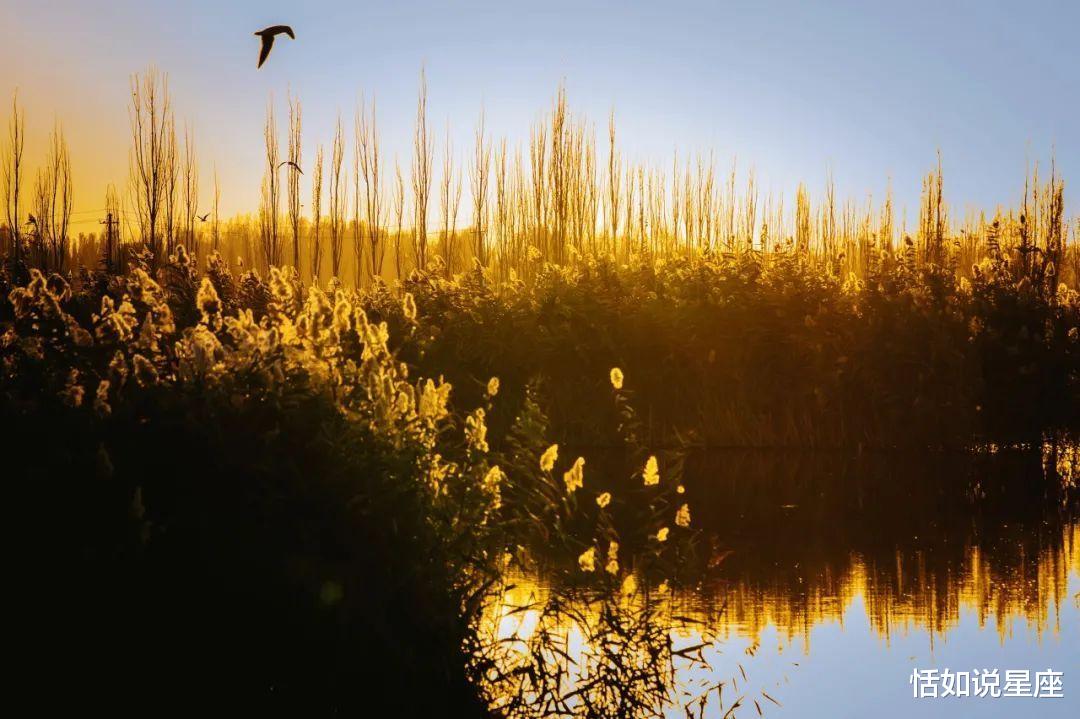 胡杨林|中国最贵的景区,一张门票3500元,外国人进去要交30万