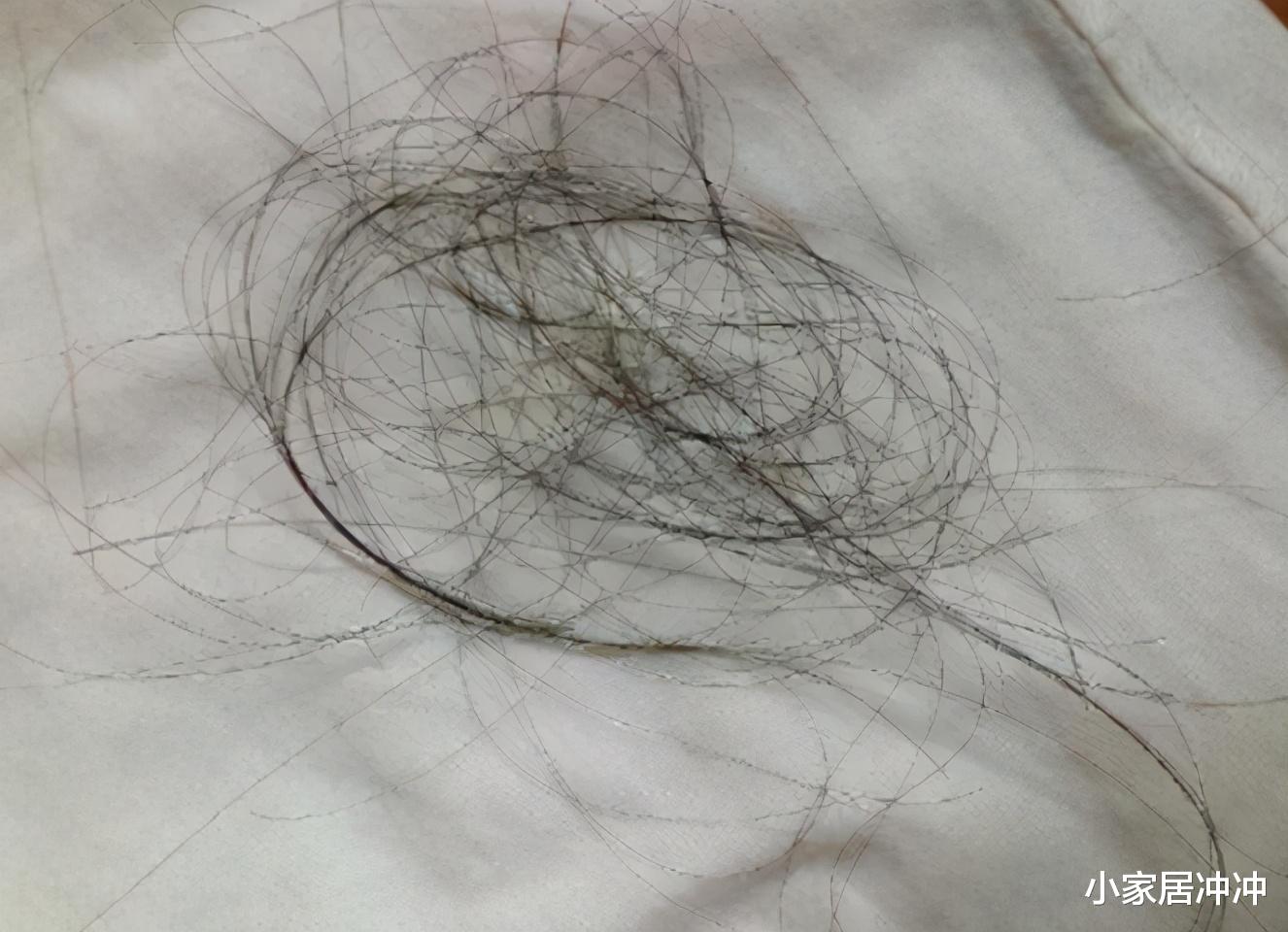 为什么家里总有很多“毛絮”？学会这样做，干净又卫生，贼实用