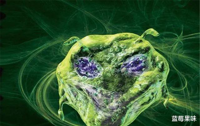 地球是个生命体?科学家曾发现地球微微颤动,5小时震十多次!