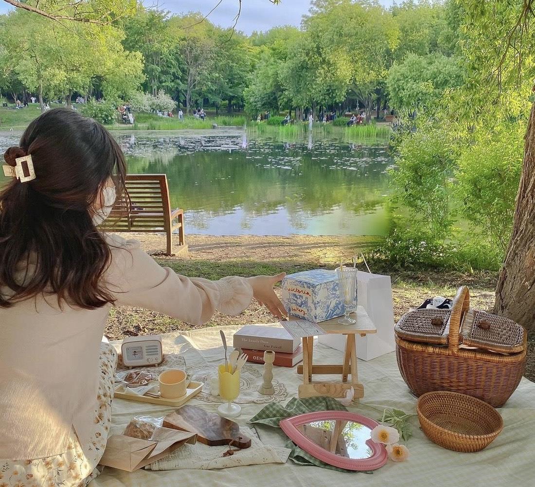 韩国女主一人居,越简单生活越精致!这样的生活状态,我羡慕了!
