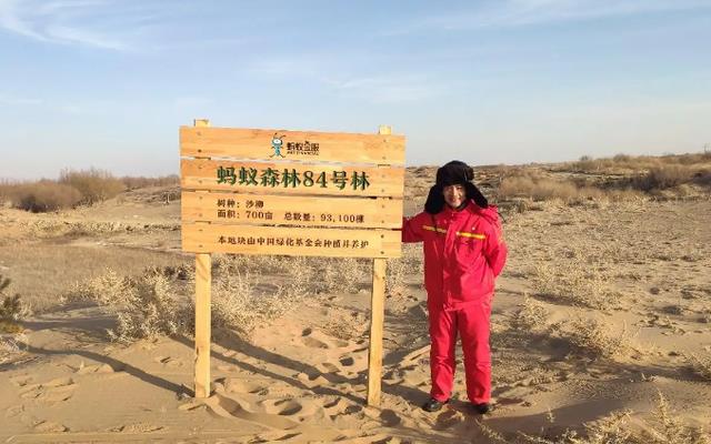 销售额|蚂蚁森林热心环保事业，号召用户在沙漠种树，6年过去现在怎样了？
