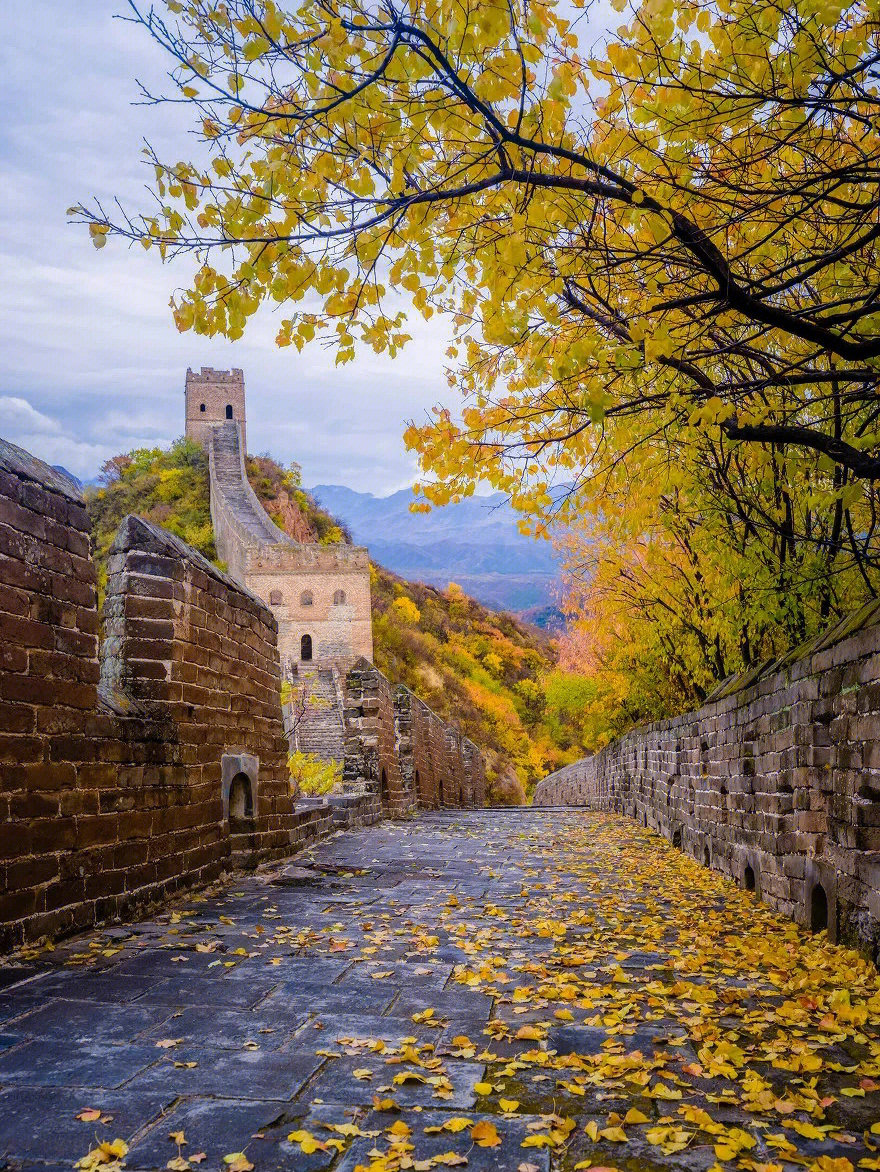 苏州|分享我秋天最爱的6个城市
