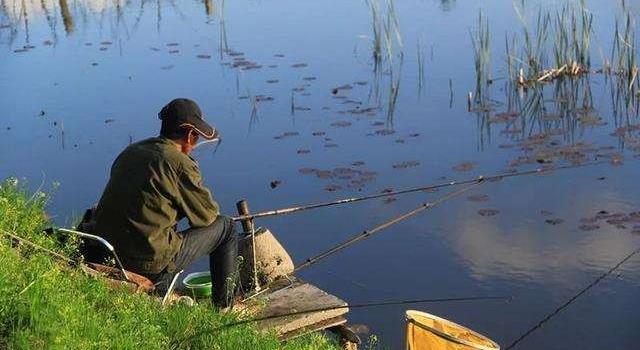 |中年人钓鱼有多难？买了一个钓箱后，老婆为啥要查监控？