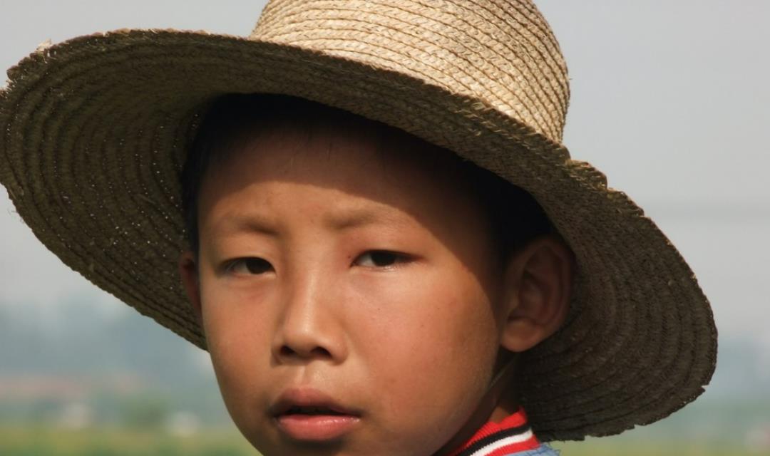 乡村纪实:当年我的发小金钢,用广播线电青蛙,不幸触电身亡!