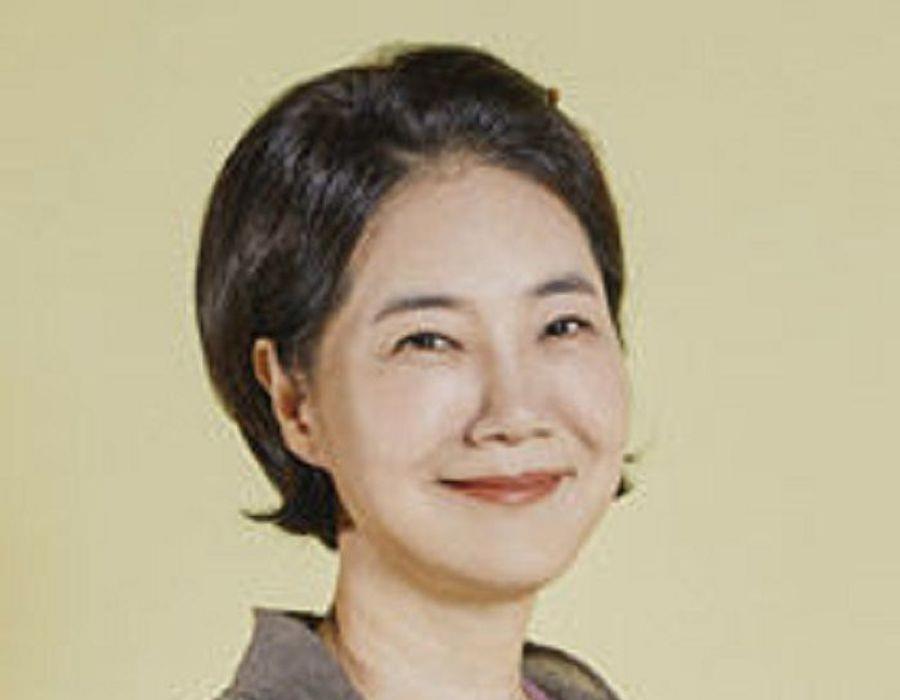 国家代表老婆|最新韩剧《国家代表老婆》剧情评价、演员角色人物和看点介绍