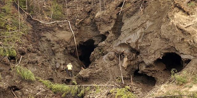 猛犸象墓地满目疮痍,骨头猎人用喷射泵冲毁冻土,盗取古生物骨骼