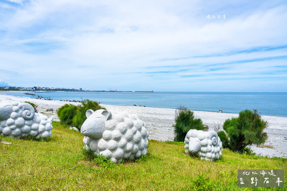 花莲|吉野石羊，这条花莲海岸步道景色很美，可爱石羊好萌好可爱！