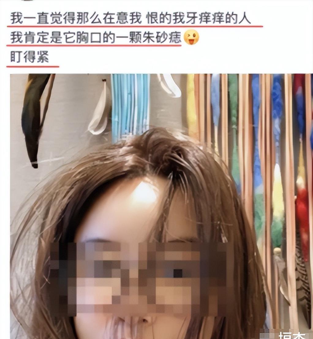 张大奕|张大奕公开新恋情,蜀都超级富二代,天猫总裁成过去式