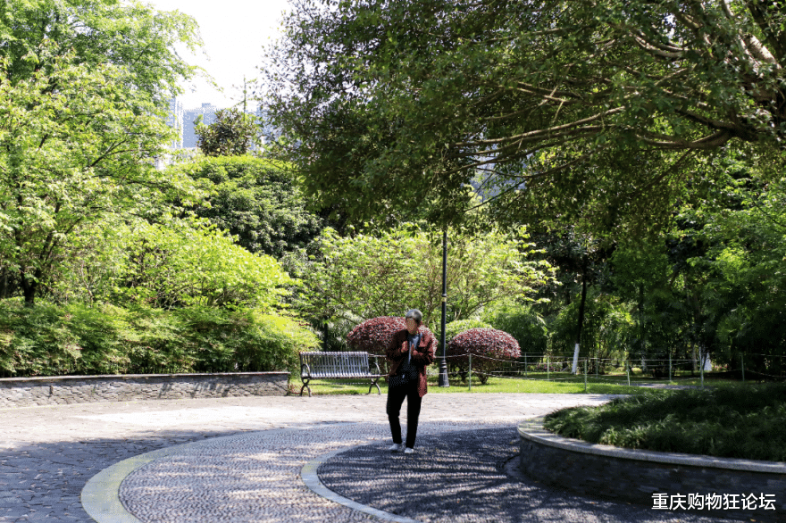 |公交直达，湿地、草坪、运动场！这个宝藏公园怎么还不出圈？