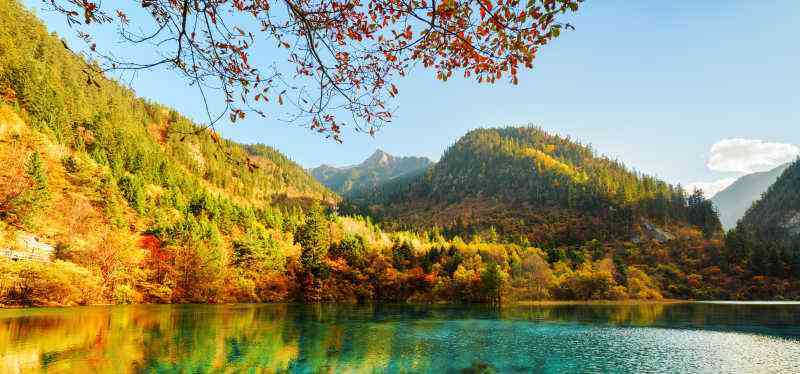 白哈巴|中国最美的湖泊,被称为“白哈巴”