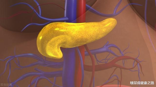 疾病|怎么改善胰岛功能?健康生活方式与合理用药要一起考虑