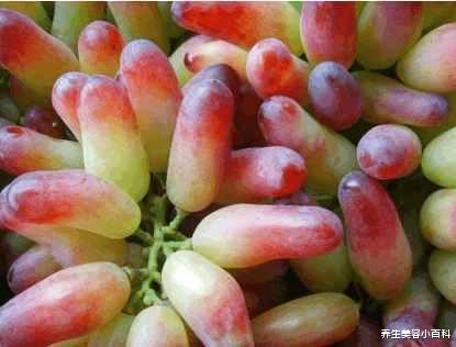 抗癌|一种叫“马奶子”的水果, 不仅抗癌防癌, 还可以降低胆固醇