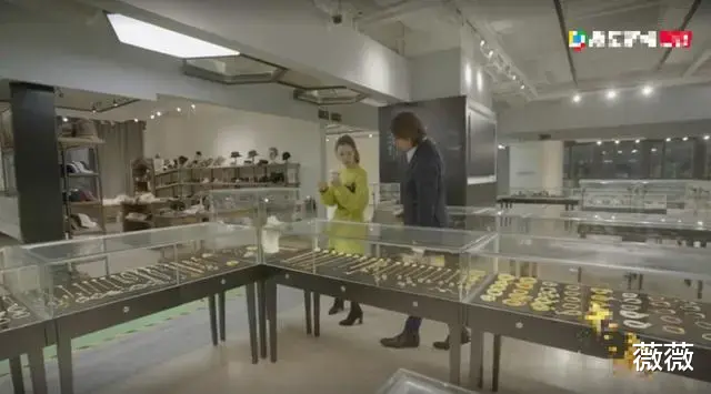 房交会|薇娅\商业帝国\曝光！10层办公楼，仓库像大型超市，住上千万豪宅