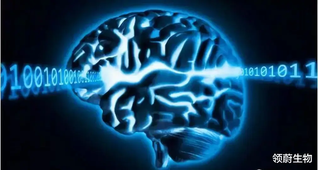 肾虚|干细胞治疗，治愈脑梗的希望之光