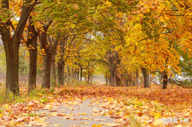 深秋饮食要忌口，建议：少吃“寒物”，多吃“5碱”，秋冬少受苦