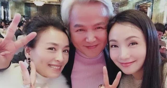 张庭|张庭和陶虹会不会坐牢?