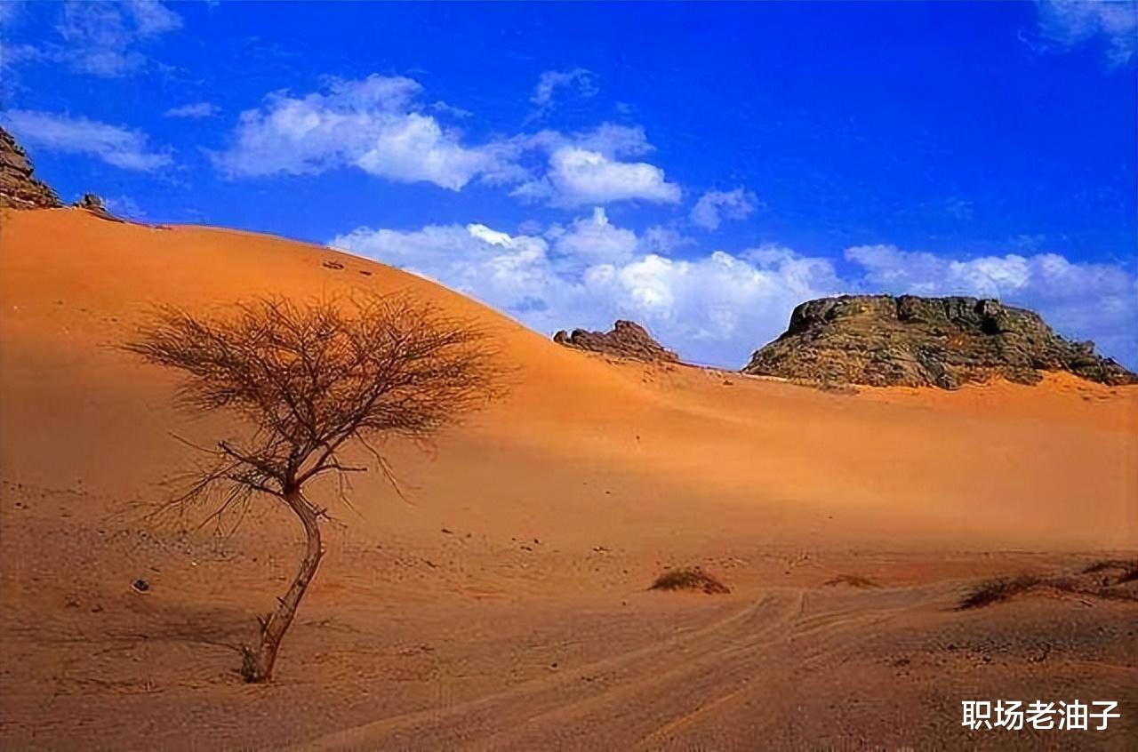 |几百年前的5句谚语,如今职场的真实写照