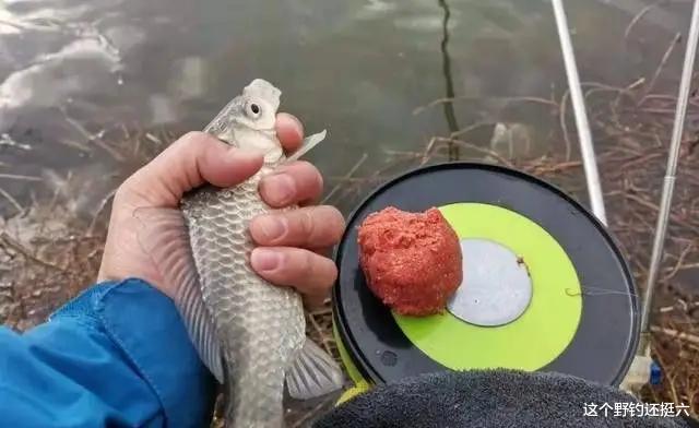 |春季钓鲫鱼把握好这两点，能让鱼获翻一倍，也更容易钓到大鲫大鲤