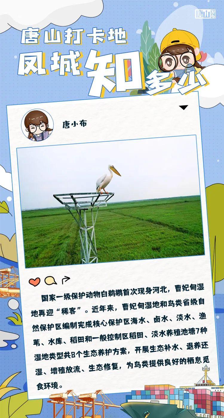 招聘|招聘汇总！唐山人欲报从速！