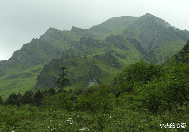 高原|青藏高原湖泊面积剧增,会有何影响?印度正在初尝苦果