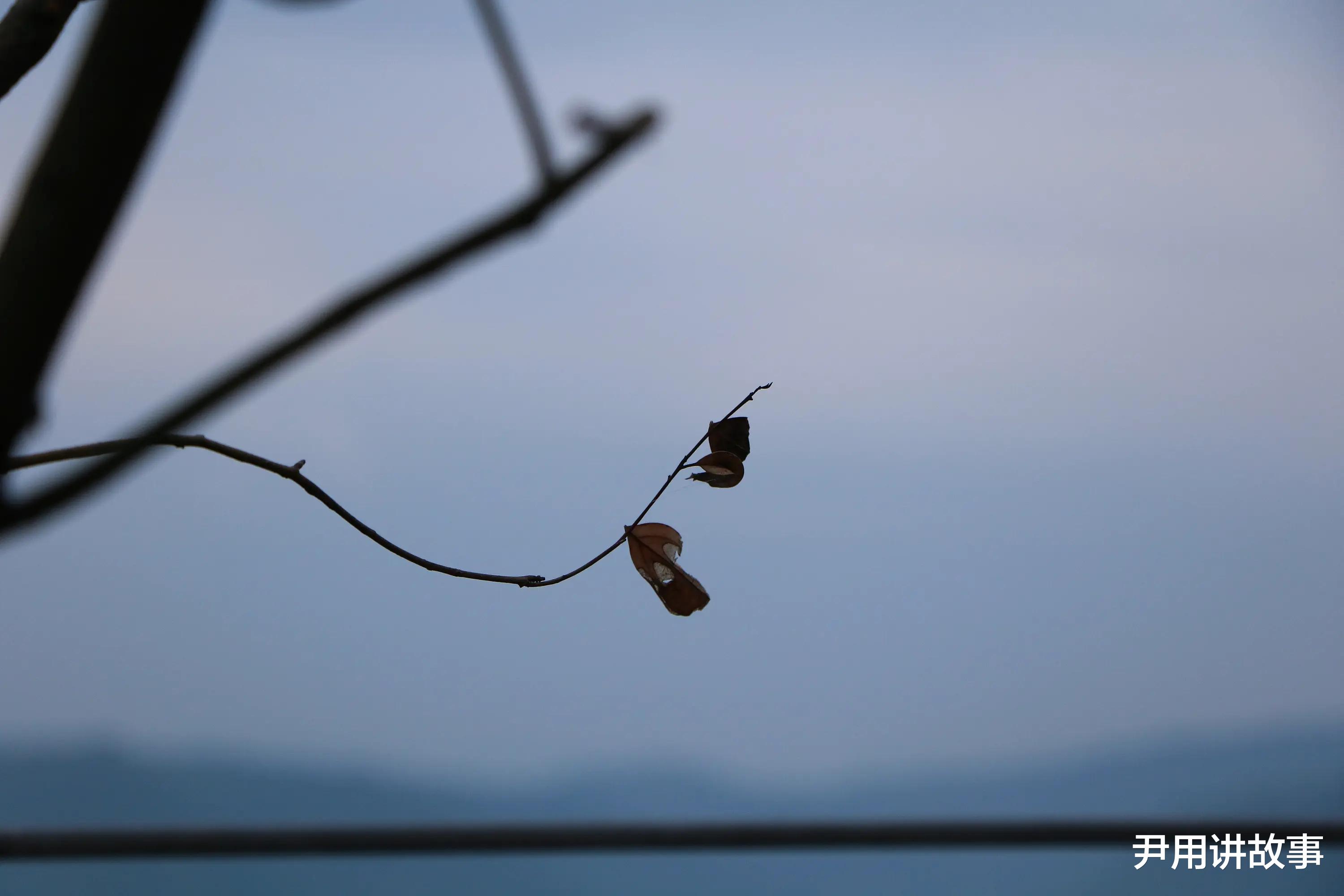 多位行业顶流相继离世,讣告频出,网友:年关真是一关