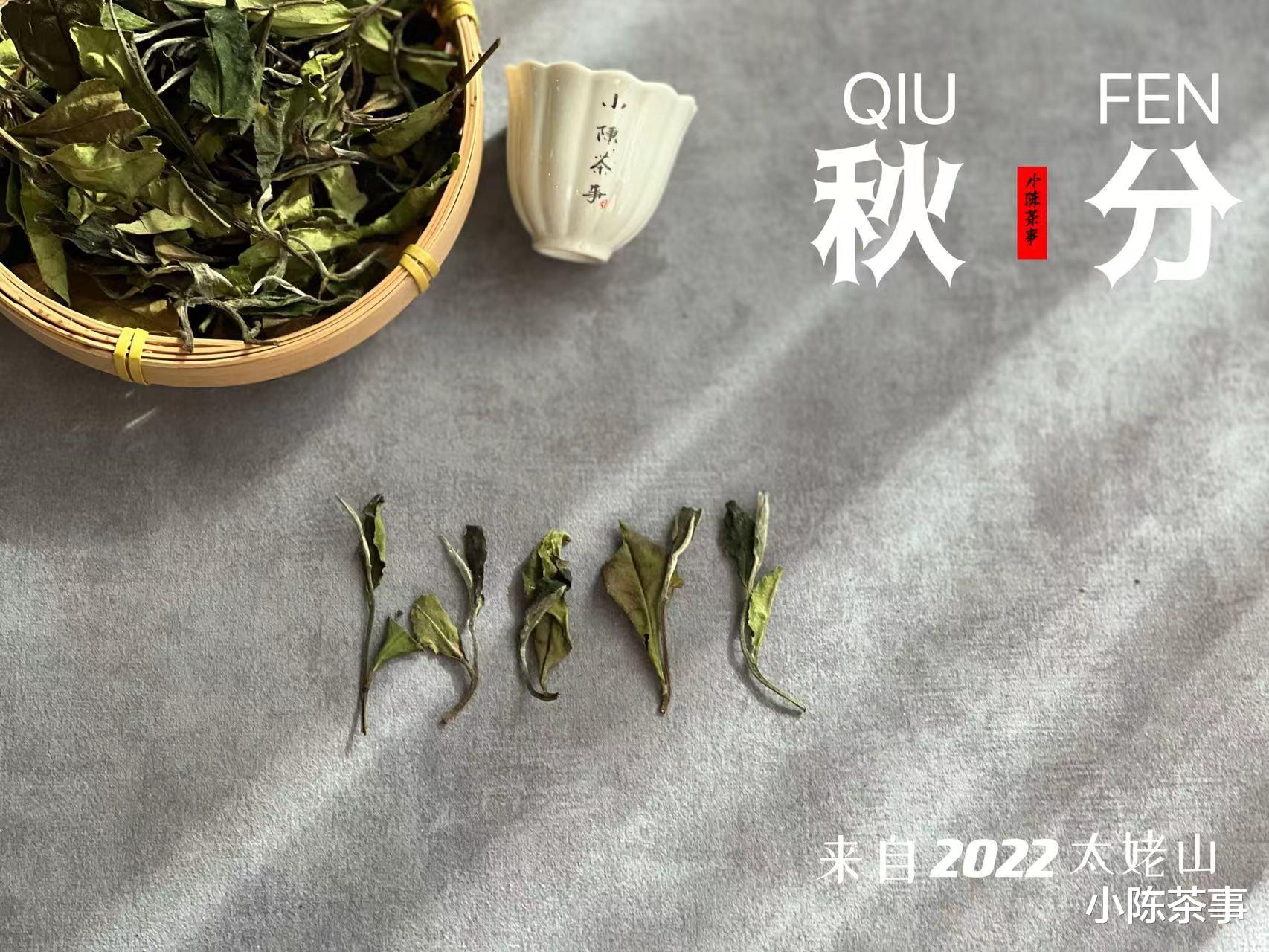 适合新手喝的入门白茶，2个优点堪称为新手量身定制，别错过了