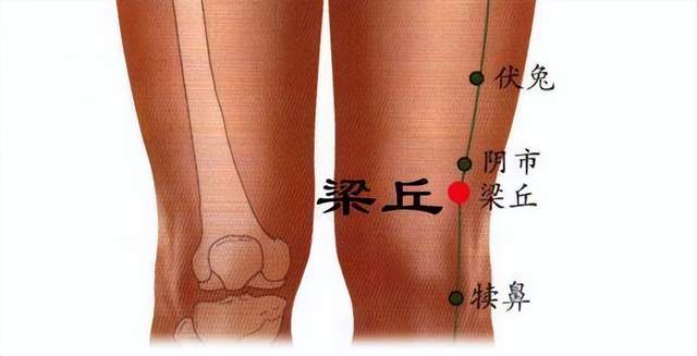 肺病|经络穴位，一日一学——梁丘，对付急性胃痛最有效