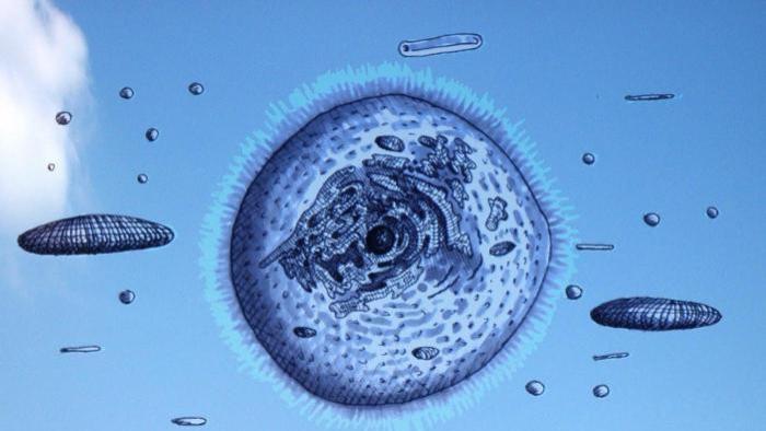 龙是大气层生物? 神秘的大气层巨兽真的存在吗?