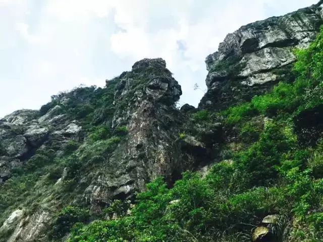 旅游业|5月22周日出发【秘境清远*百年古道】登猪咸脑百年古道线一日
