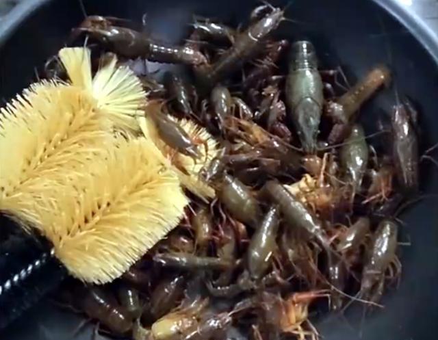 大学生|仨大学生带着女朋友钓小龙虾，6个小时钓了一斤多，网友：内卷了