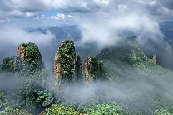 浦江|浦江，我们就要来了！