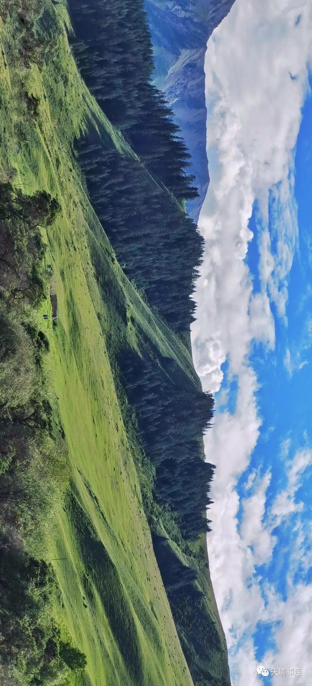 草原|真羡慕你们可以去祁连玩儿，不像我就住在祁连