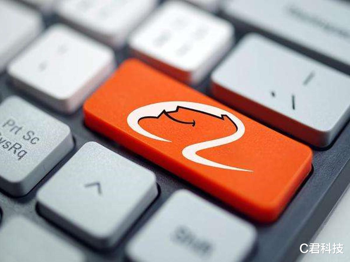 risc-v|越来越好了！美巨头宣布新消息，中科院院士果然没说错