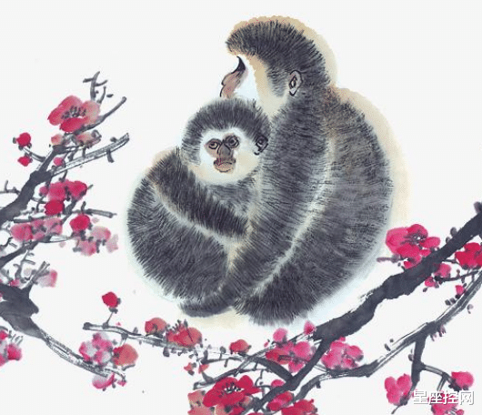 生肖|2022年收入增幅最大的生肖都是谁?占了好运,抓住时机